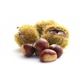 CASTAGNE