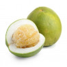 POMELO A PEZZO