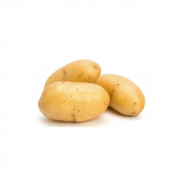 BIO PATATE