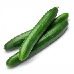 CETRIOLI LUNGHI