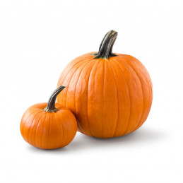 ZUCCA DI HALLOWEEN A PESO