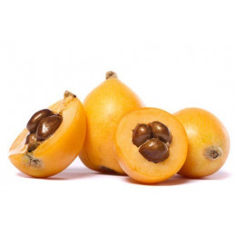 NESPOLE G