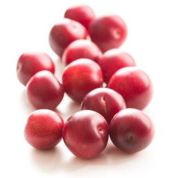 SUSINE CHERRY PLUM