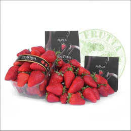 FRAGOLE CANDONGA 250 GR