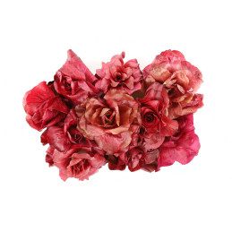 RADICCHIO ROSA DEL VENETO