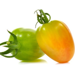 POMODORI PERETTE ACERBE