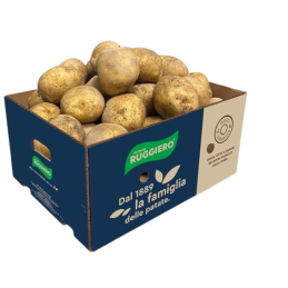 PATATE AMANDINE RUGGERO A KG