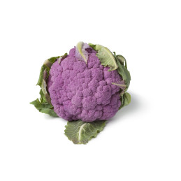 CAVOLFIORI VIOLA