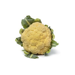 CAVOLFIORI ARANCIONI-GIALLI