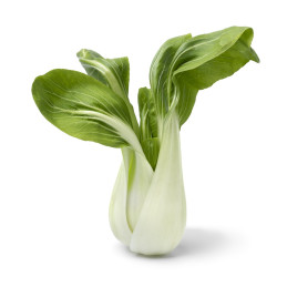 PAK CHOI