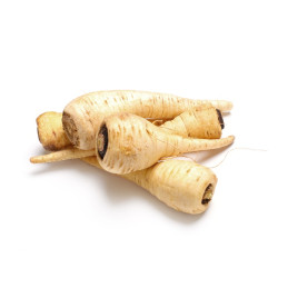 PASTINACA / PANAIS