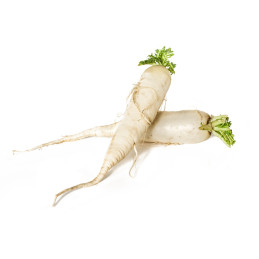 DAIKON RETTICHE A PESO