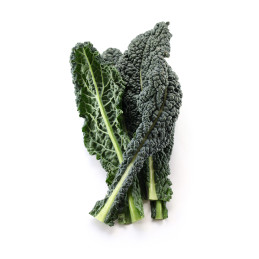 CAVOLO NERO