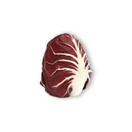 RADICCHIO SEMI LUNGO